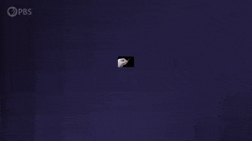 GIF by PBS Digital Studios