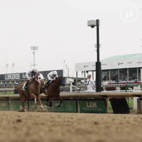 Horses Winning GIF by TwinSpires