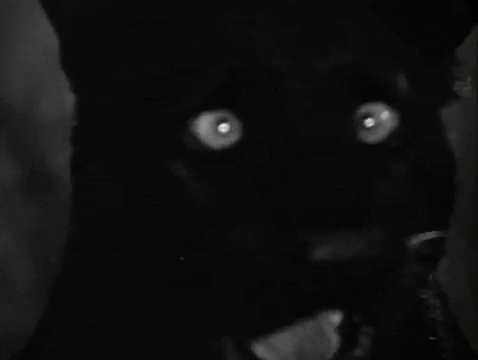 horror