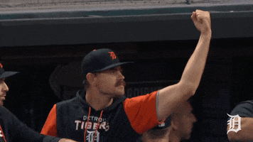 Major League Baseball Yes GIF by Detroit Tigers