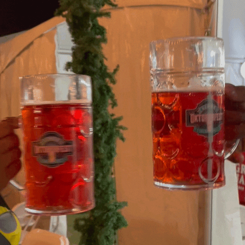 Beer Cheers GIF by Tulsa Oktoberfest