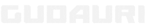 Georgia Fis Sticker by MtaSki