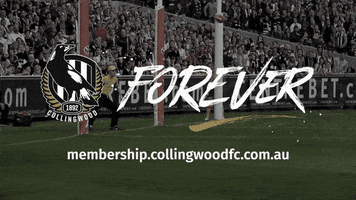 smother heath shaw GIF by CollingwoodFC