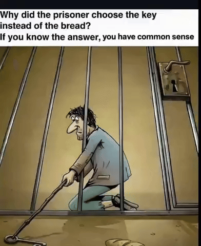 Bread Missing GIF