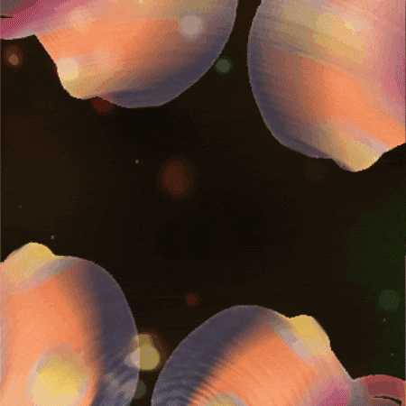 Car Crash Bump GIF by TeaCosyFolk