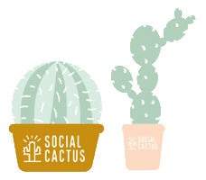 Rocket Coach Sticker by Social Cactus Coaching