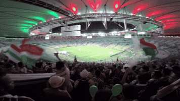 leandroalves  GIF
