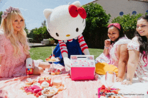 Hello Kitty Love GIF by Igloo Products Corp.