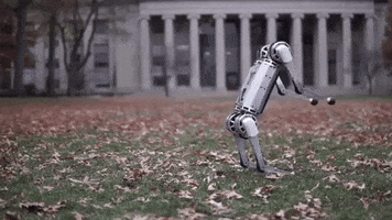 Tech Robots GIF by UMass Amherst
