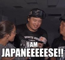 White Sox Chicago GIF