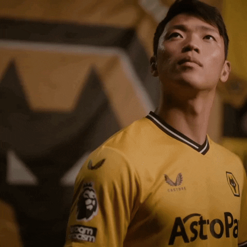 Look Up Premier League GIF by Wolves