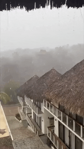 Central America Mexico GIF by Storyful