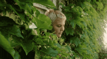 Summer Day Plants GIF by Hardly Art