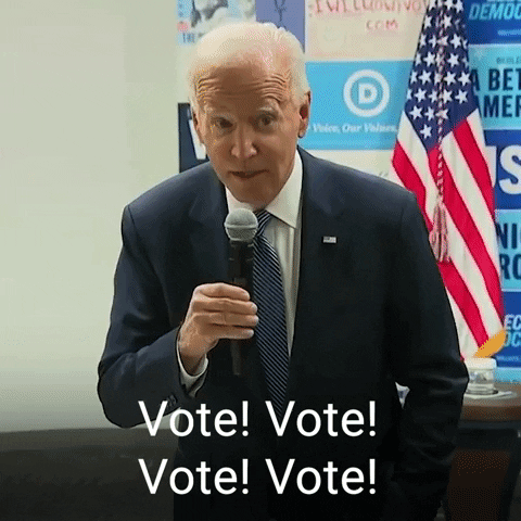Voting Joe Biden GIF by The Democrats