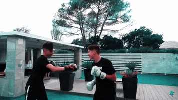 Fight Boxeo GIF