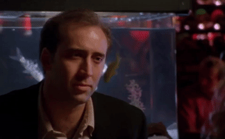 nic cage interesting choice of words GIF