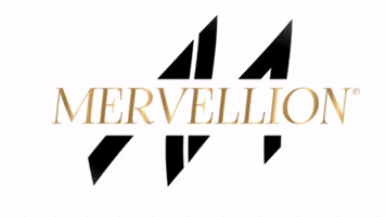mervellion GIF