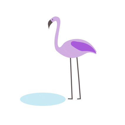 Flamingo Paars GIF by PopPub