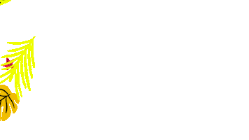 Concierto Sticker by taquillalive