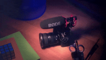Camera Disco GIF by RØDE Microphones