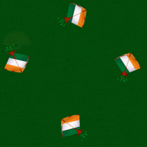 Independence Day Celebration Educational Animation GIF by FirstCry Parenting