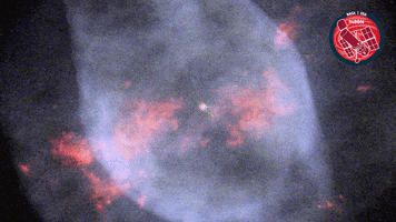 Star Glowing GIF by ESA/Hubble Space Telescope