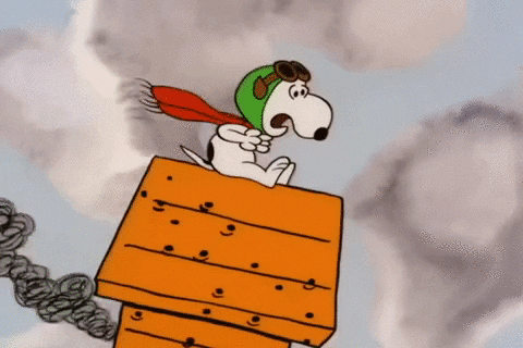 Its The Great Pumpkin Charlie Brown Halloween GIF by Peanuts