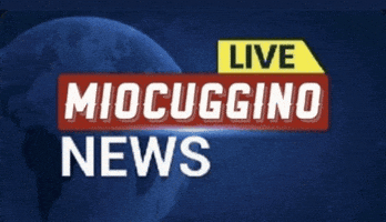 Ammiocuggino GIF