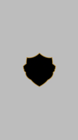 TMS GIF