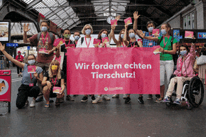 GIF by Animal Rights Switzerland