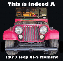 Cj5 GIF