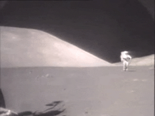 https://media3.giphy.com/media/6NTPwz25RmY8w/giphy.gif?cid=ecf05e47a300b42b3e4ed1360df6b3ee8816e0f4d566e65c&rid=giphy.gif