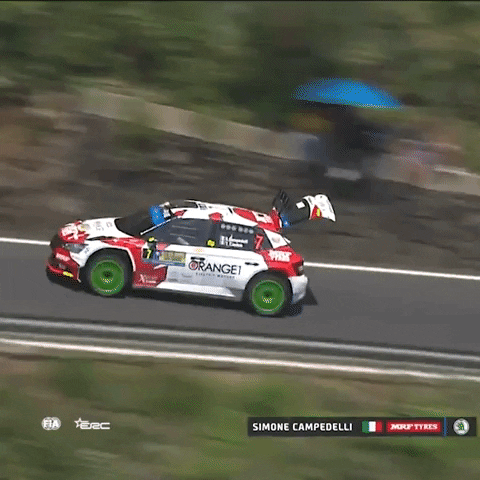 Open House Wtf GIF by FIA European Rally Championship