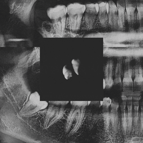 Concept Art Teeth GIF by nashmoch