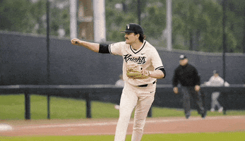 Baseball GIF by UCF Knights