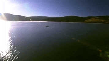 Engel & Völkers Salt Lake GIF