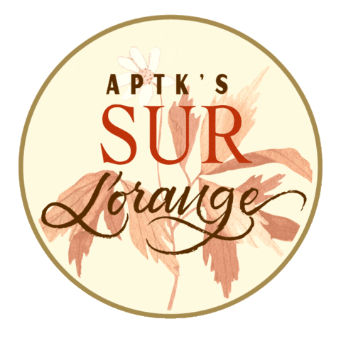APTK Spirits Sticker