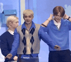 Sassy Stray Kids GIF