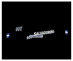 El Salvador GIF by pansinai
