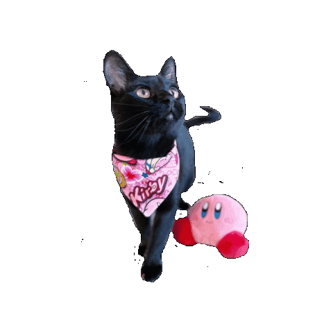 The Black Cat Kirby Sticker by Geekster Pets