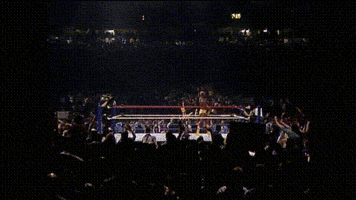 Wwf GIF