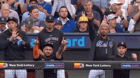Major League Baseball Sport GIF by New York Mets - Find & Share on GIPHY
