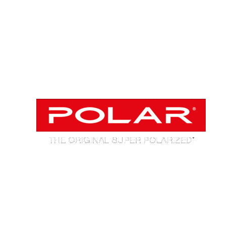 POLAR_Sunglasses Sticker