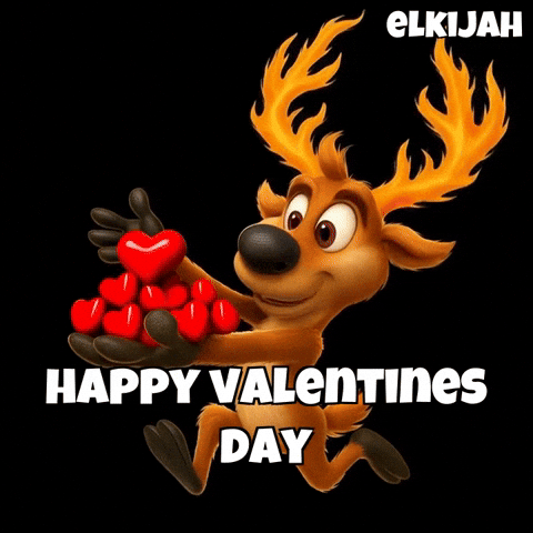 Valentines Day Love GIF