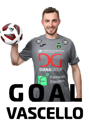 Pordenone Calcio a 5 Sticker