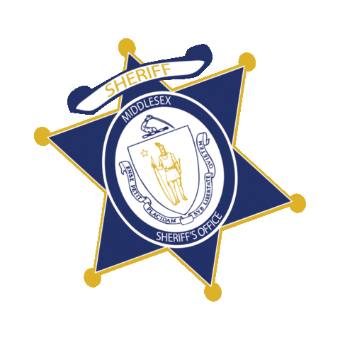 MSO Sheriff Sticker
