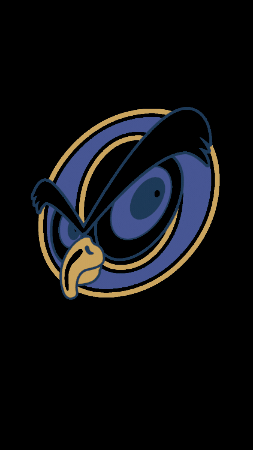 Academia Interamericana de Panama GIF