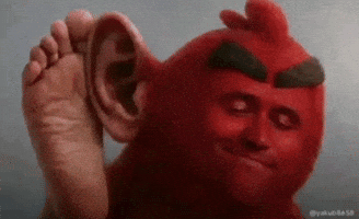 Bird GIF