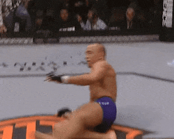 Happy Ufc GIF by Georges St-Pierre