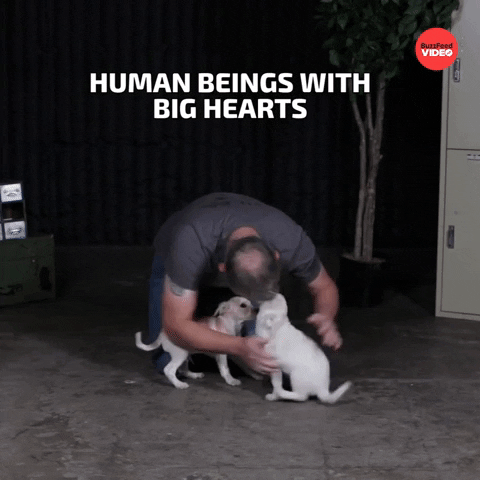 Puppies National Puppy Day GIF by BuzzFeed